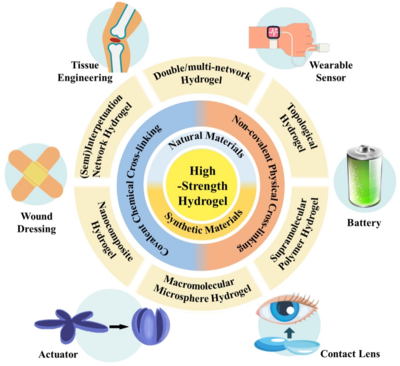 西工大黃河源、王文智/西安交大趙鑫 Nano Res.:高強度水凝膠的制備策略、增強機制與未來挑戰